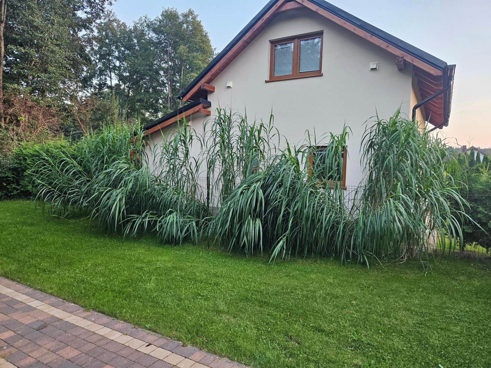 Osada Cztery Pory Roku - Dom Jesien Vila Kopalino Exterior foto